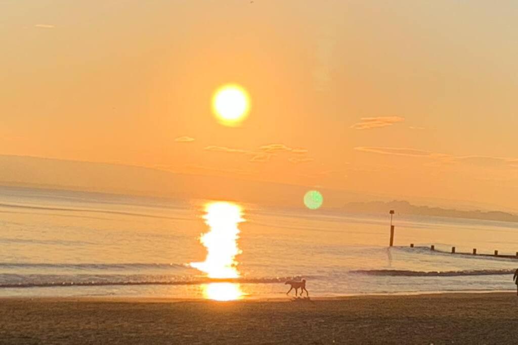 Bournemouth Nr Town Beach Train Coach Shops Lovely Entire Apartment Allows Quiet Good Dogs Eksteriør billede