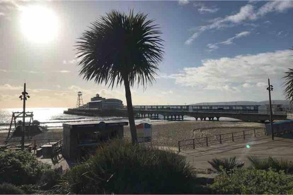Bournemouth Nr Town Beach Train Coach Shops Lovely Entire Apartment Allows Quiet Good Dogs Eksteriør billede
