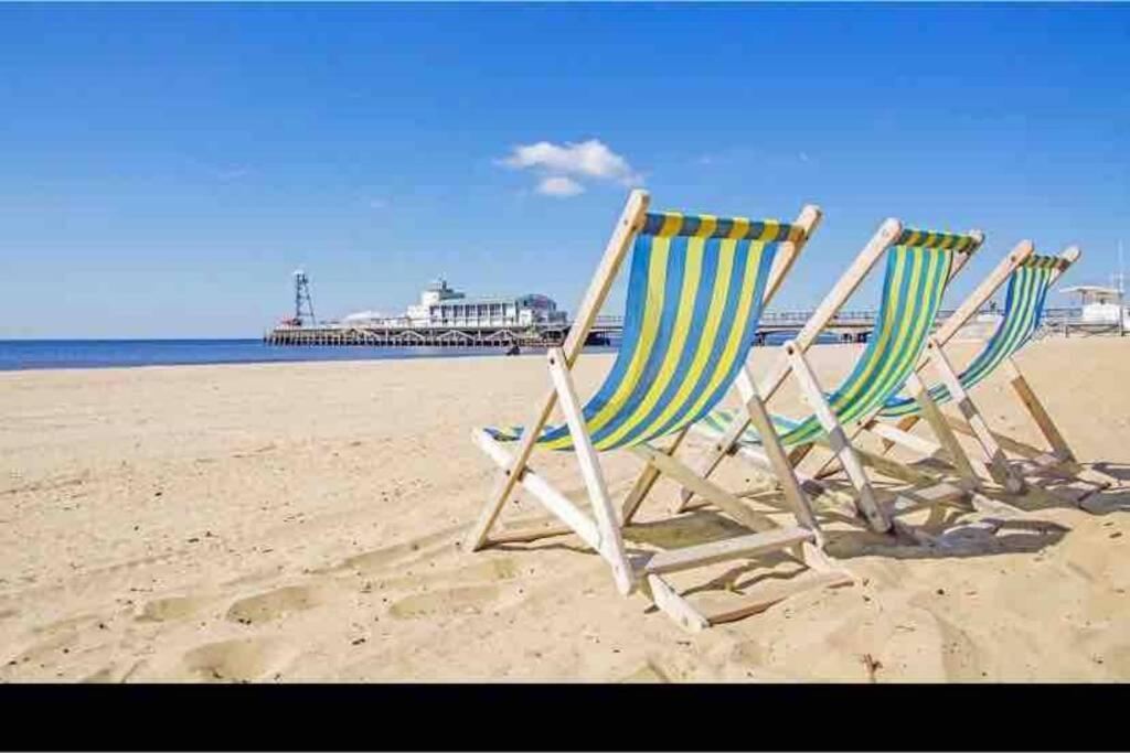 Bournemouth Nr Town Beach Train Coach Shops Lovely Entire Apartment Allows Quiet Good Dogs Eksteriør billede